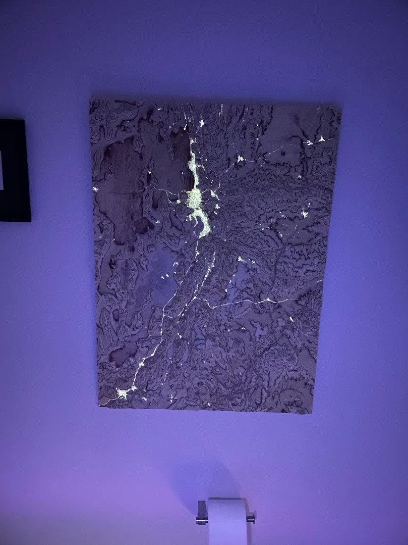 Glow-in-the-Dark Utah CNC'd 3D Map